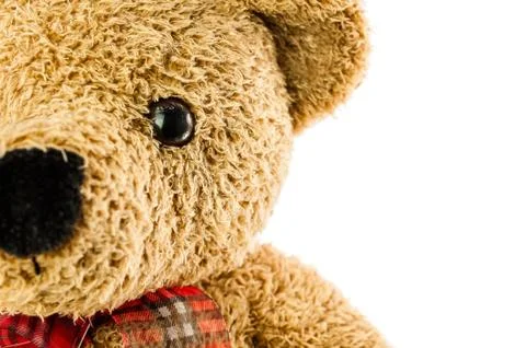 Bears doll on white background Stock Photos