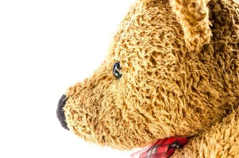 Bears doll on white background Stock Photos