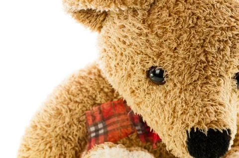 Bears doll on white background Stock Photos
