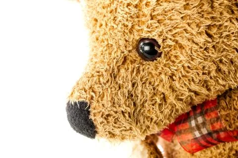 Bears doll on white background Stock Photos