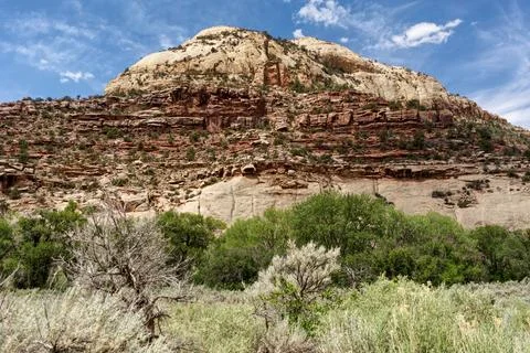 Bears Ears Geology Fotos de archivo