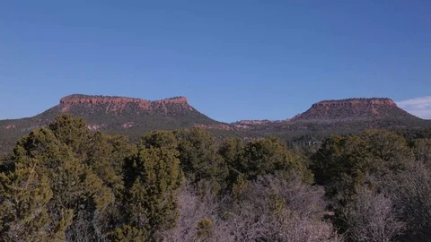 Bears ears tilt down Vídeo Stock 90910488