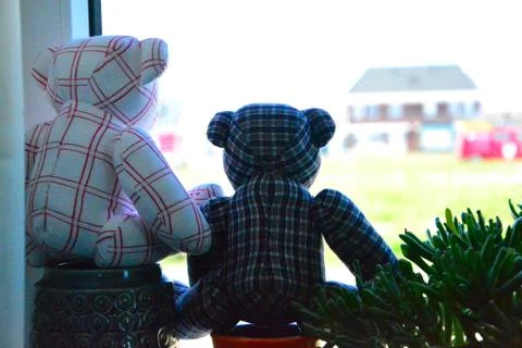 Bears in front of window for a bearhunt Foto stock