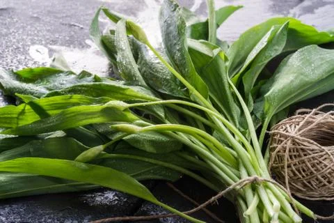 Bear's garlic Stock Photos