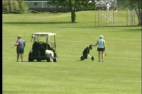 Bears on Golf Course Video stock 324995