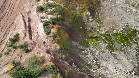 Bears of Kamchatka 스톡 동영상 317294815