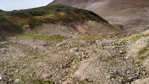 Bears of Kamchatka 스톡 동영상 317294827