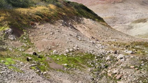 Bears of Kamchatka 스톡 동영상 317294836