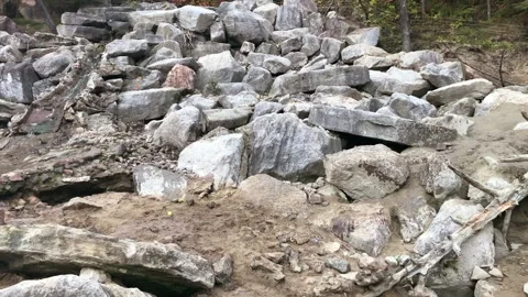 Bears in a zoo Stock Footage 132510674