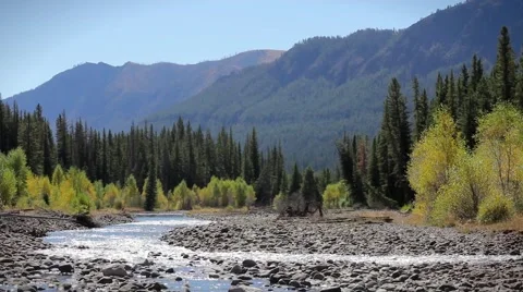 Beartooth Stream Video stock 65767833