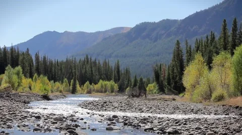 Beartooth Stream Video stock 65767893