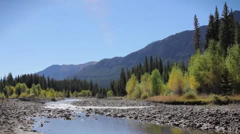 Beartooth Stream Video stock 65767947