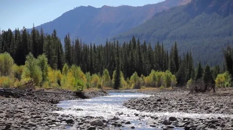 Beartooth Stream Video stock 65767966