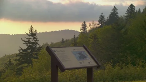 Beartrap Gap Overlook on the Blue Ridge Parkway Closeup Video stock 76433600