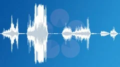 Beast 2 Sound Effect