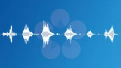 Beast 3 Sound Effect