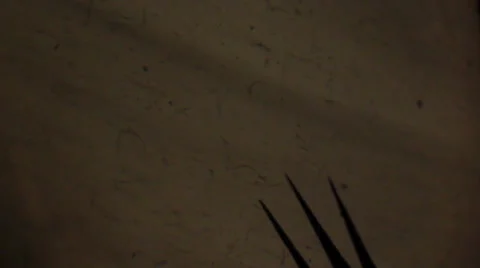 Beast Shadow Stock Footage 33046935