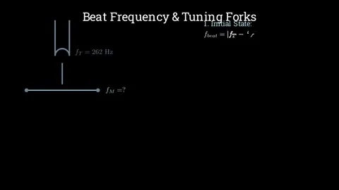 Beat frequency and tuning forks Stock-Footage 336015036