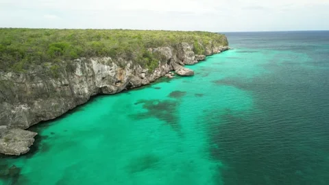 Beata island cliff texture 36 Stock-Footage 331303636