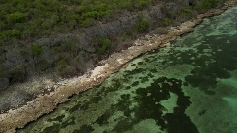 Beata island shore texture 21 Video stock 331304530