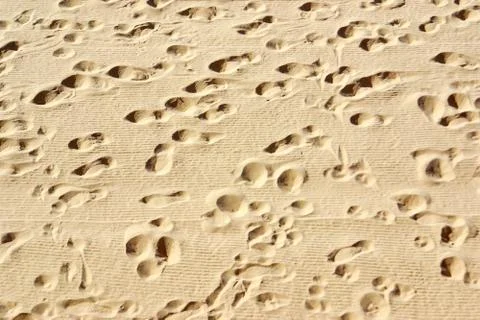 Beatch sand Stock Photos
