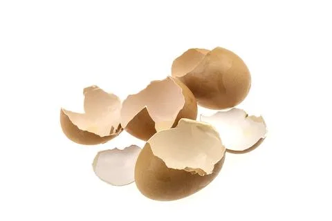 Beaten egg shell isolated over white background, concept for no zero score Фото