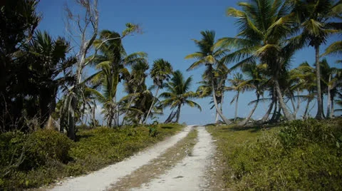 Off the beaten path Vídeo Stock 22818793