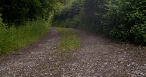 Beaten path going into the distance Stock Footage 111999003