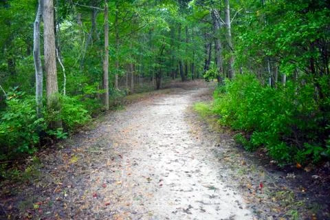 Off the Beaten Path Stock Photos