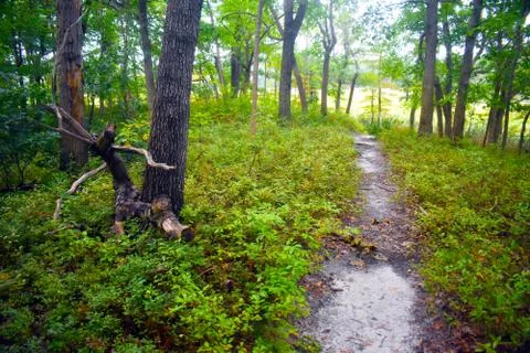 Off the Beaten Path Stock Photos