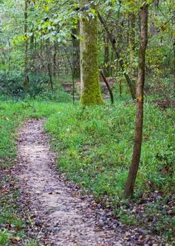 Off the Beaten Path 写真素材