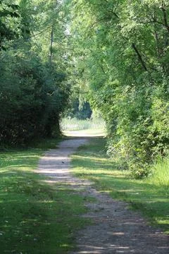 Off the Beaten Path 库存照片