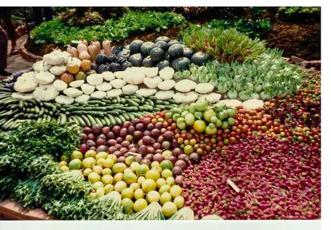 BEATIFUL ARRANGEMENT OF VEGETABLE Stock Photos