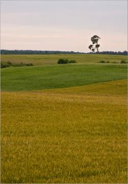 Beatiful blue sky Stock Photos