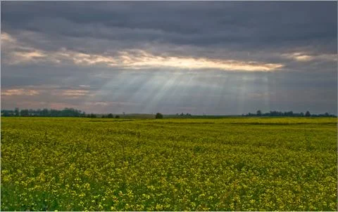 Beatiful blue sky Stock Photos