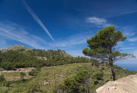 Beatiful blue sky Stock Photos