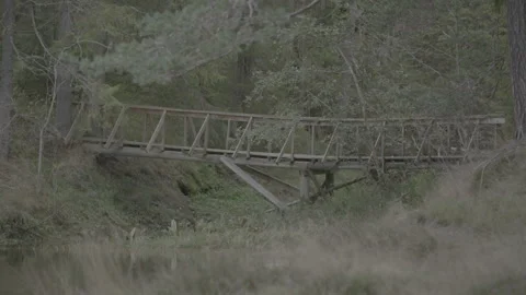 Beatiful bridge in nature 스톡 동영상 326217769