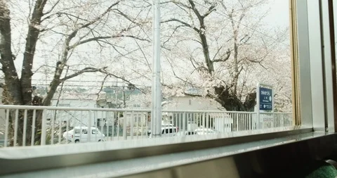 Beatiful cherry blossoms in Kyoto, view from window of train Stock-Footage 106212232