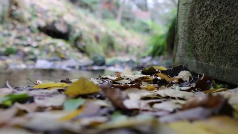 Beatiful clear stream Flowing on an Autumns Day 스톡 동영상 76105839