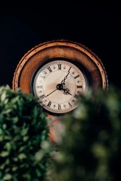 Beatiful clock and two Plants on a desk with black background copy space Stock Photos