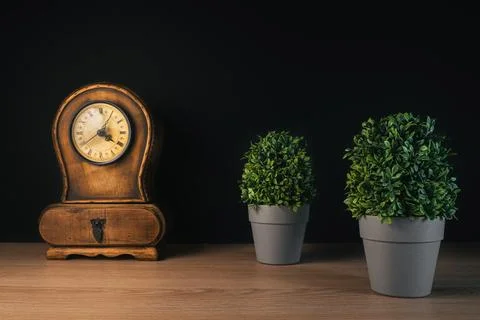Beatiful clock and two Plants on a desk with black background copy space Stock Photos