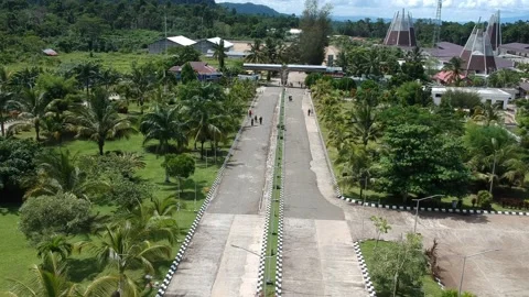 Beatiful forest Video stock 234998176