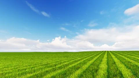 Beatiful green field with cloudy sky 3D render Stock Illustration