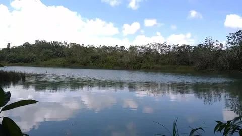 Beatiful lake Stock Footage 217440349