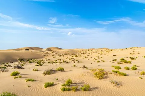 Beatiful landscape in the desert Stock Photos