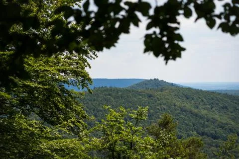 Beatiful landscape of the pflzer wald hills and the dahner rock castles, rhei Stock Photos