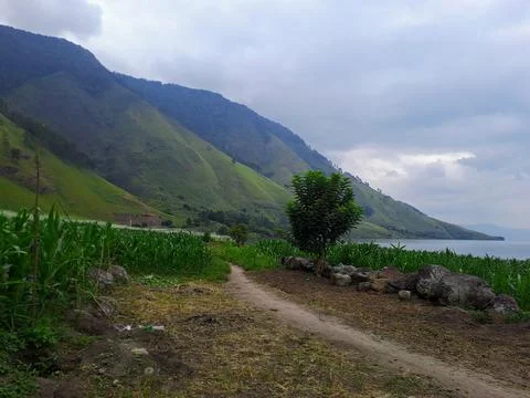 Beatiful landscape Stock Photos