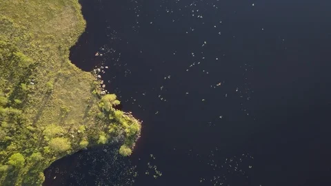 Beatiful landscape of sweden Vídeo Stock 95251377