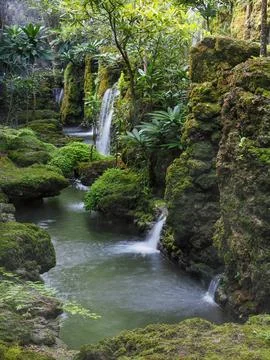 A beatiful long exposure at the lowest level of  Water fall in the forest Stock Photos