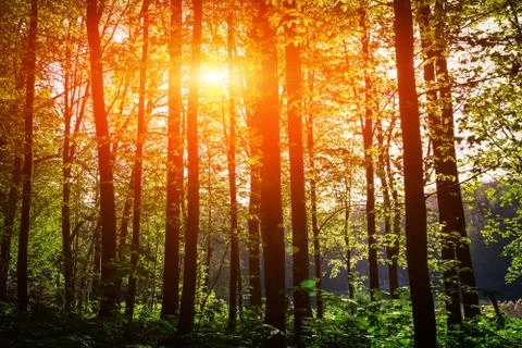 Beatiful morning Stockfoto's